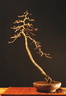 mlz9404 090301